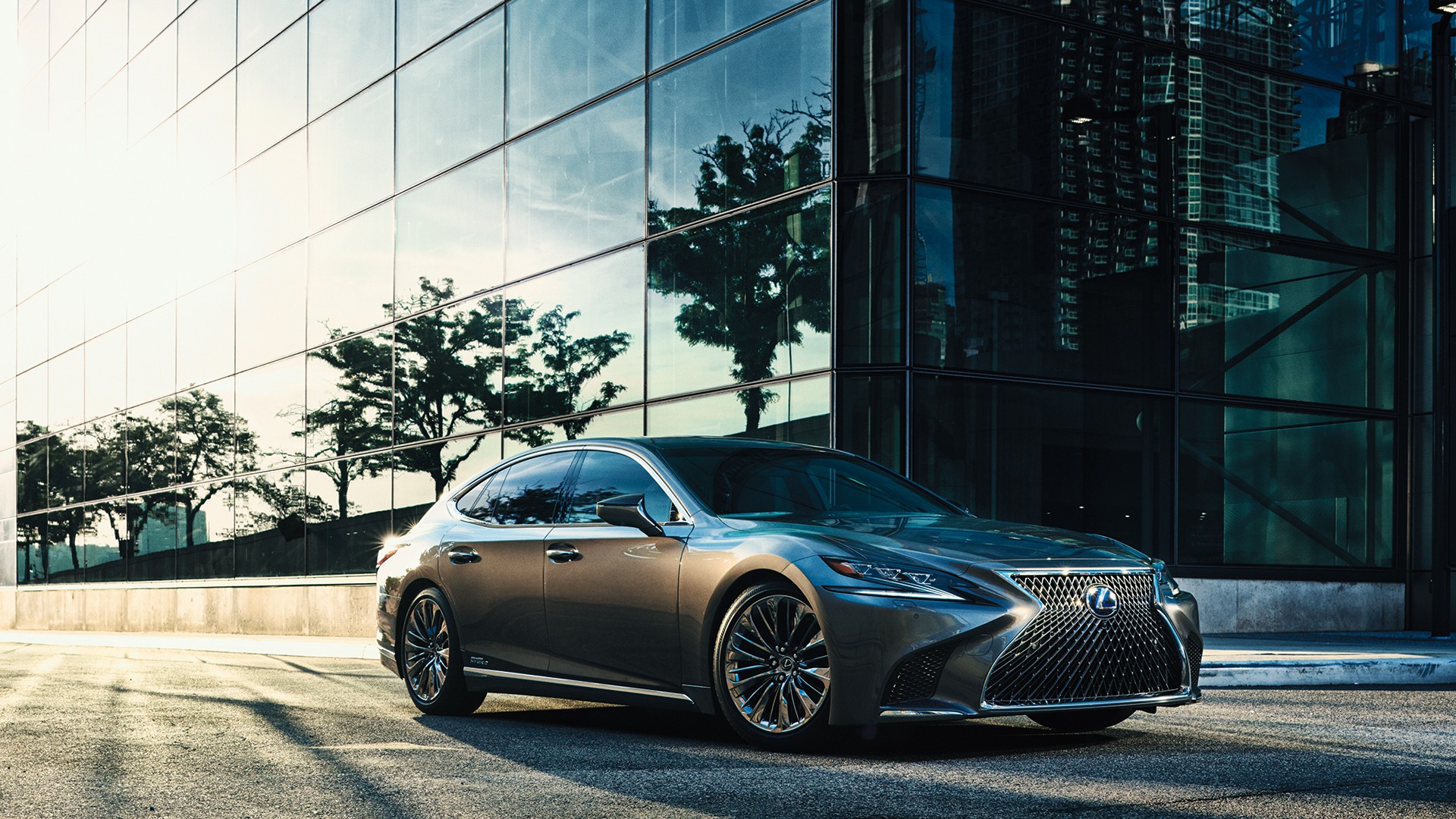 Lexus Signature Styling